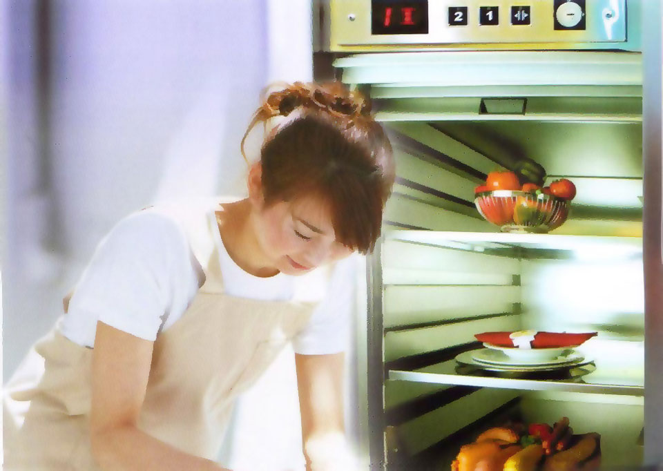 LJB ELEVATOR: Distributor Lift makanan & Distributor Dumbwaiter Murah Jakarta. Jual Lift Rumah, Jual Lift restoran & Jual Lift pelayan.